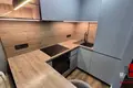 1 room apartment 28 m² Minsk, Belarus